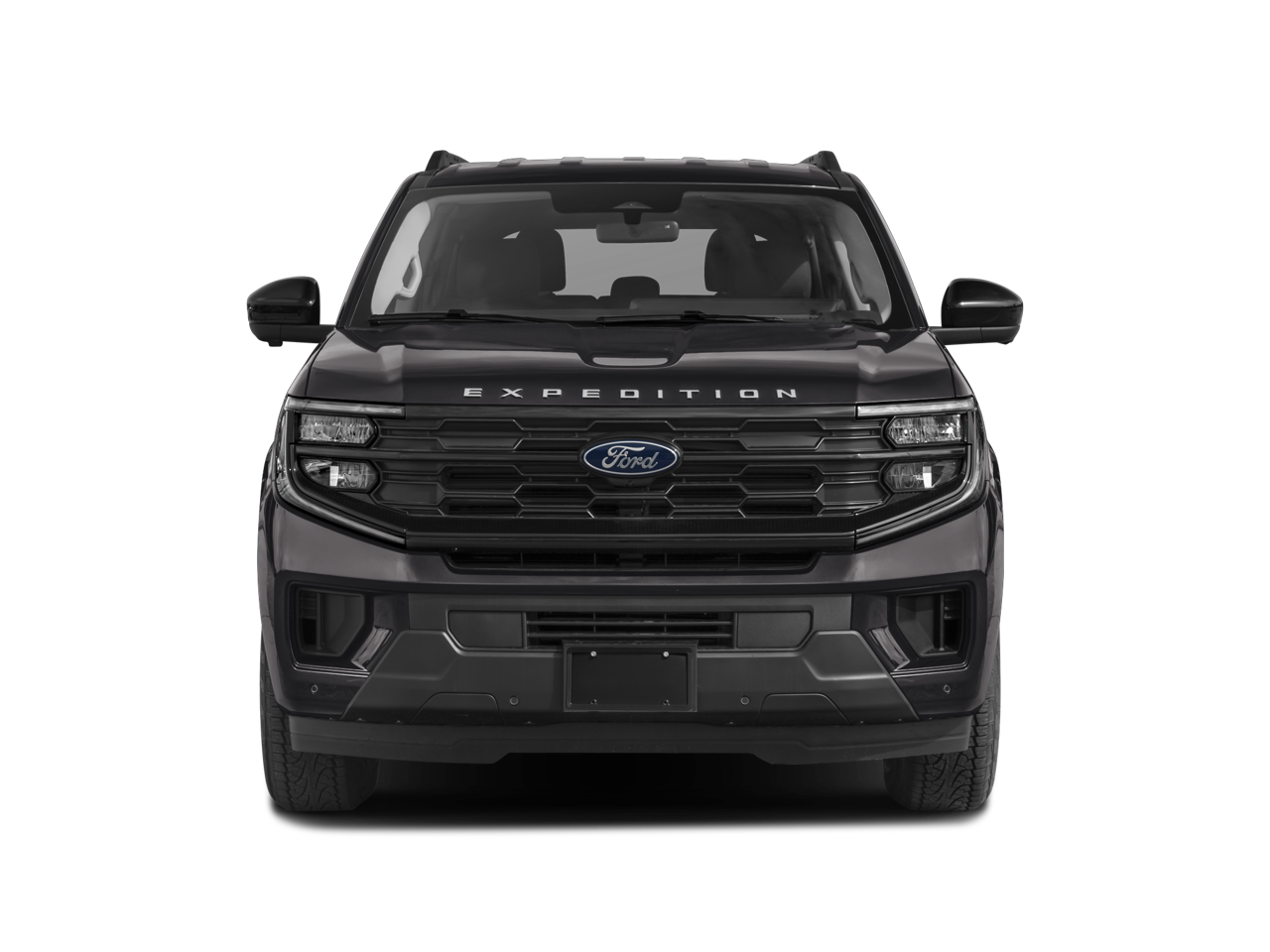 2025 Ford Expedition Active - Photo 37