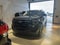2025 Ford Expedition Active MAX