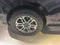 2025 Ford Expedition Active MAX