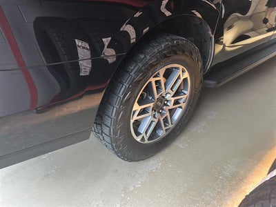 2025 Ford Expedition Active MAX