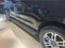 2025 Ford Expedition Active MAX